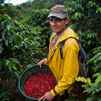 Single Origin - Costa Rica - Don Claudio - Natural