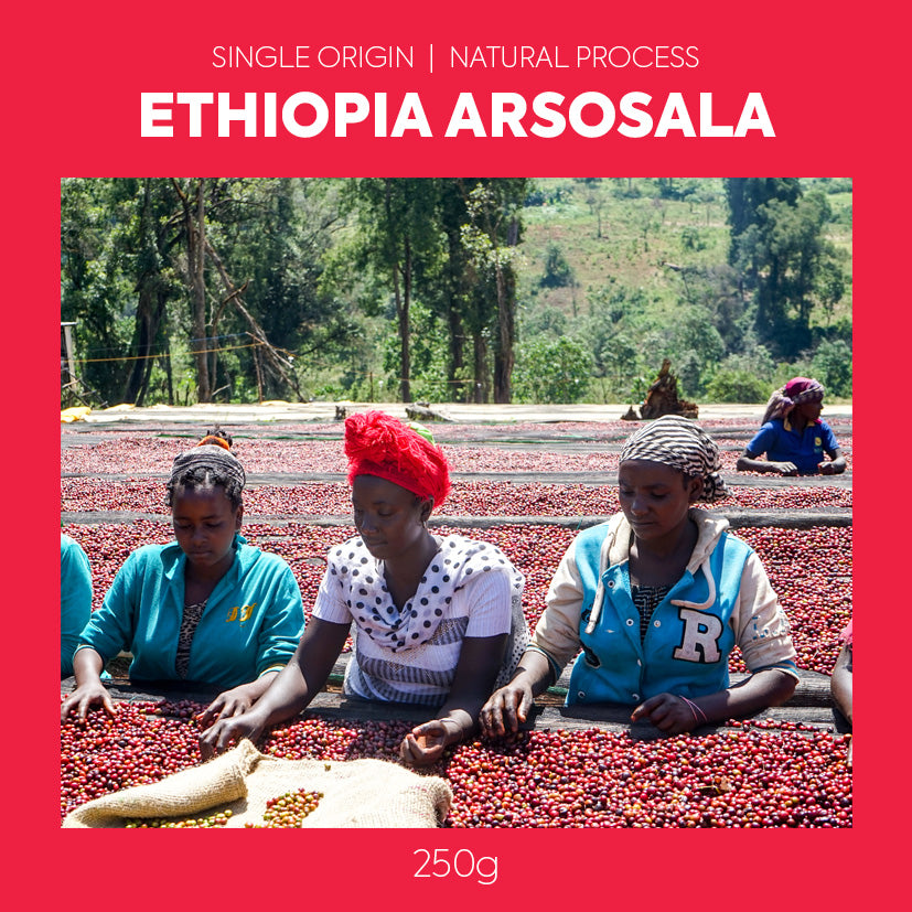 Single Origin - Ethiopia Arsosala Natural
