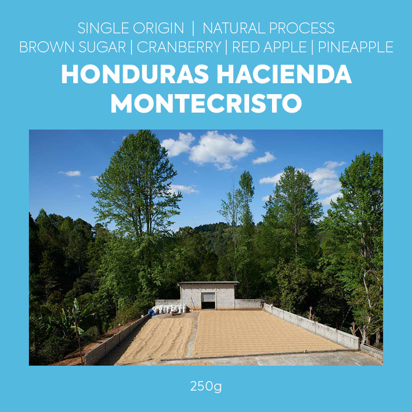 Single Origin - Honduras Hacienda Montecristo