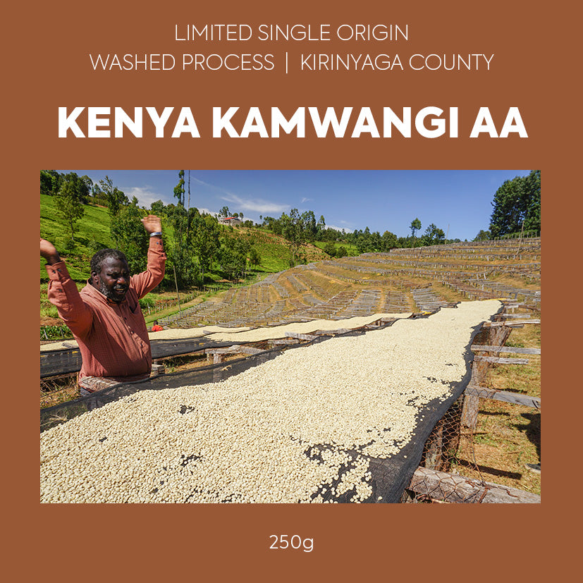Photo of Single Origin Kenya Kamwangi Aa