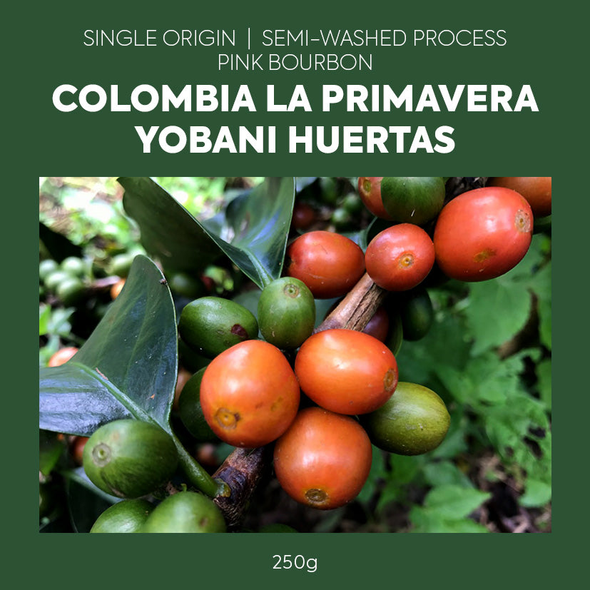 Single Origin - Colombia - La Primavera Yobani Huertas