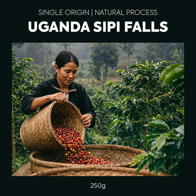 Photo of Single Origin Uganda Sipi Falls Natural