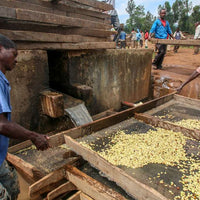 Single Origin - Ethiopia Danse Mormora Natural