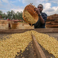 Single Origin - Ethiopia Danse Mormora Natural